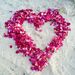 Flyboy Naturals Rose Petals