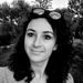 The Mediterranean Traveller