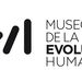 Museo de la Evolución Humana
