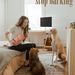 Easy training for your dog