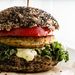 Two City Vegans | Vegan Recipes + Lifestyle