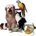 Pets Care Tips