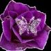 Rose Jackson