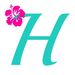 Hawaiian Brian | Travel Blog