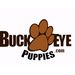 buckeyepuppies