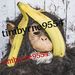 Funny Animals & Nature memes
