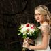 Dream Brides