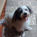 Linda Smith