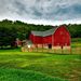 The Horse Barn Store - Horse and Equestrian Shirts | Home Decor