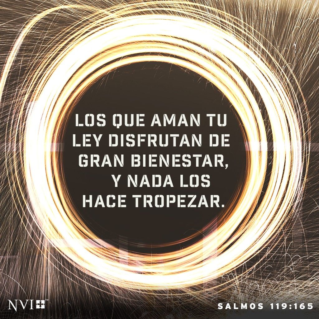 Los Que Aman Tu Ley Disfrutan De Gran Bienestar Y Nada Los Hace los-que-aman-tu-ley-disfrutan-de-gran-bienestar-y-nada-los-hace