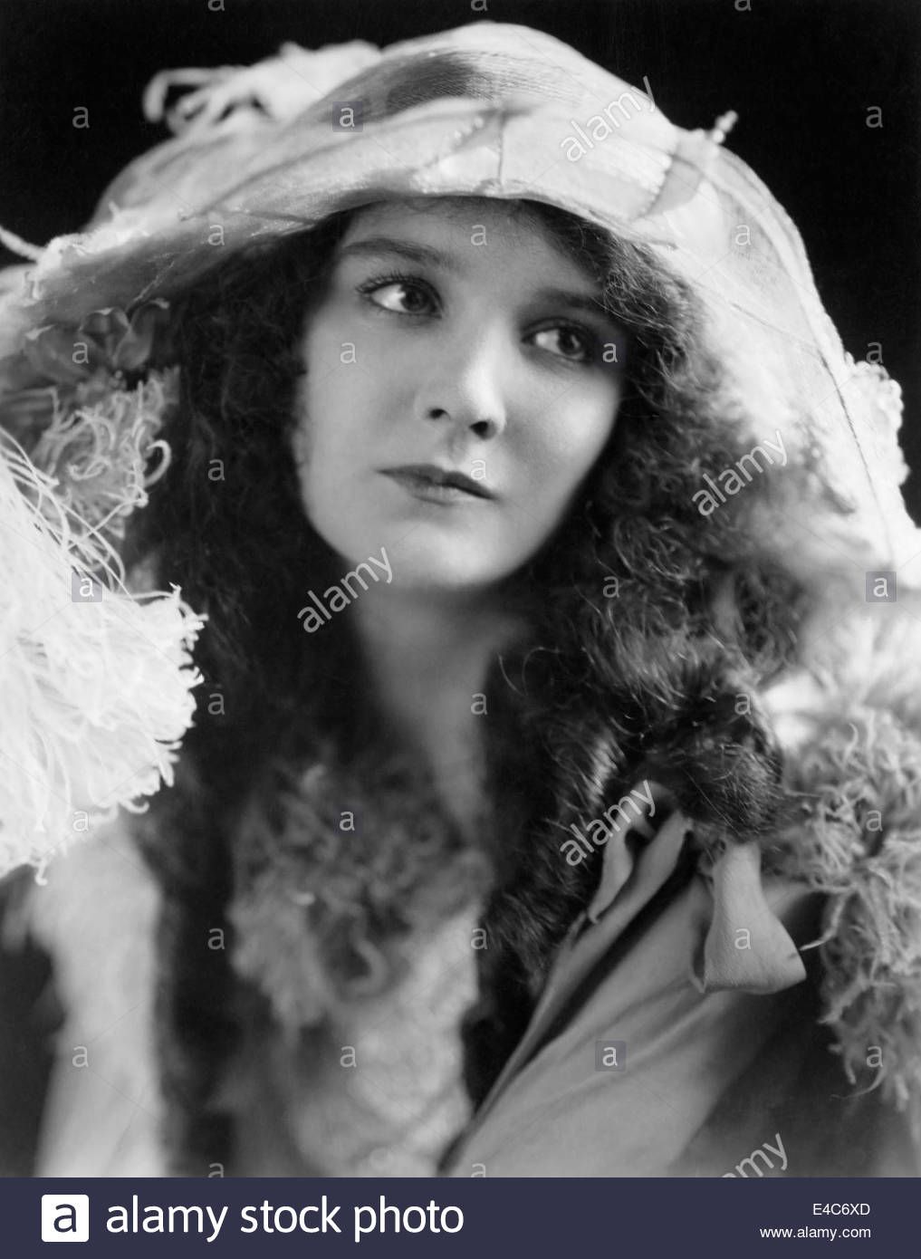 Forum on this topic: Mary Philbin, mary-philbin/ Communication on this topic: Virginia Carroll, mary-philbin/