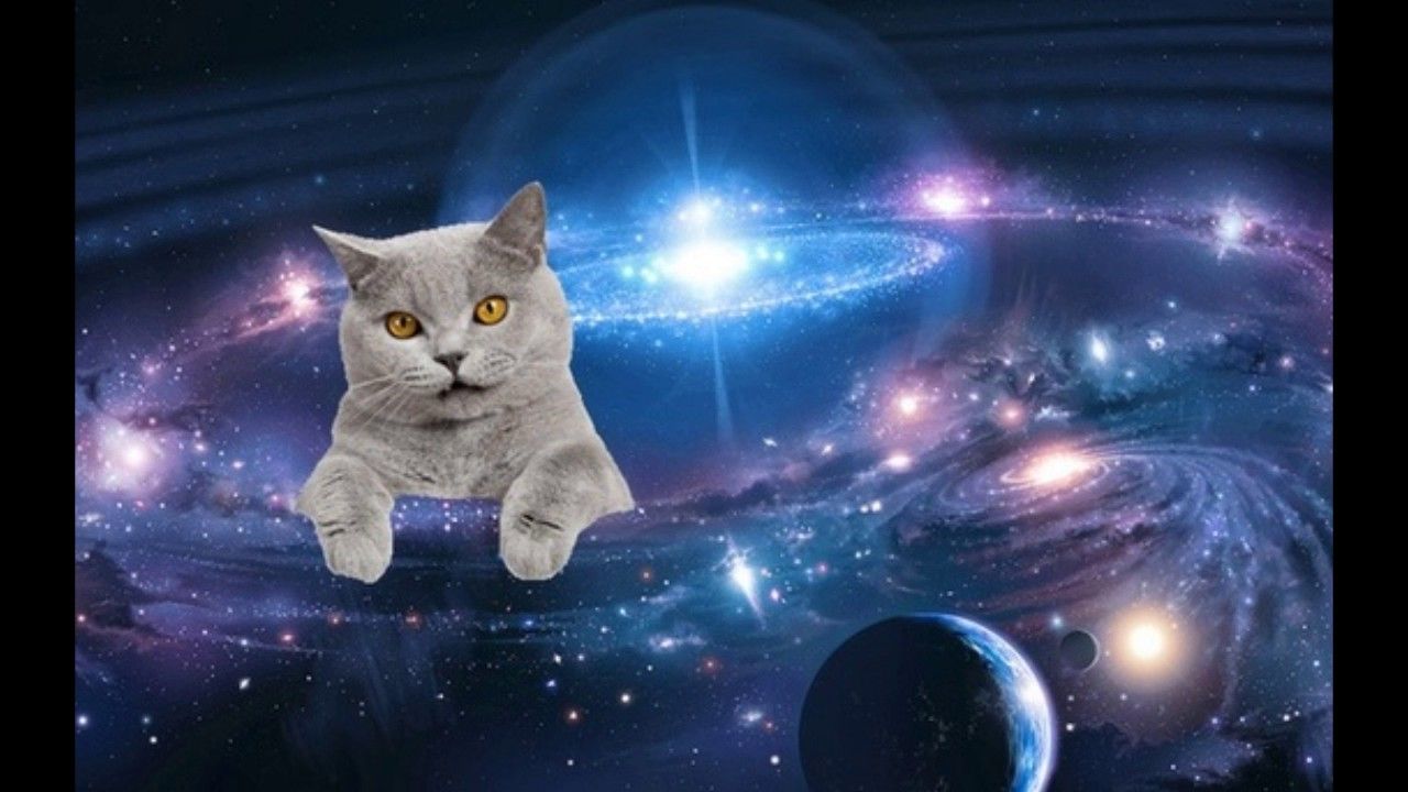 Explore Galaxy Cat Space Cat And More Explore Galaxy Cat Space Cat And More