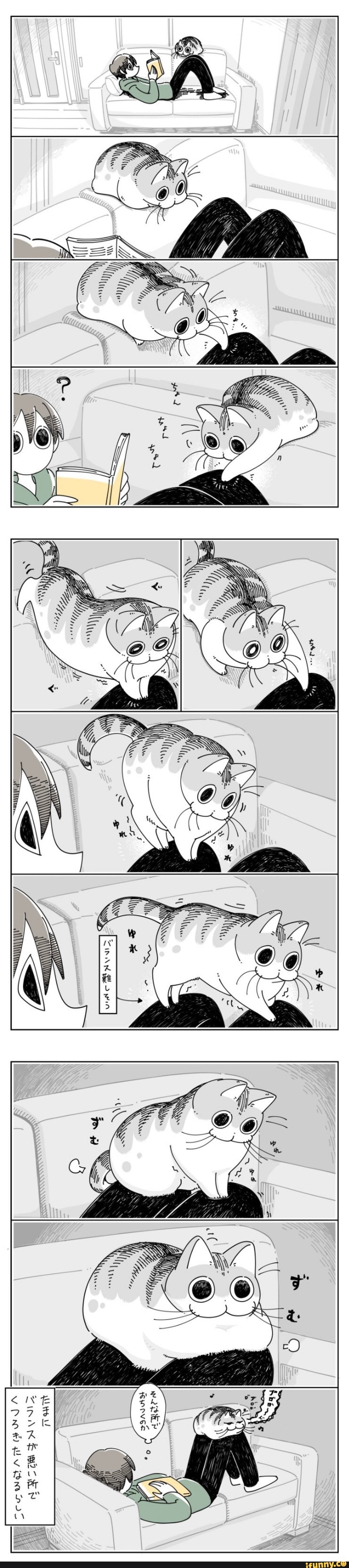 Cat Comics, Funny Comics, Funny Cute Cats, Cute Funny Animals, Cute Animal Drawings, Cute Drawings, Cute Little Animals, Baby Animals, Photo Chat