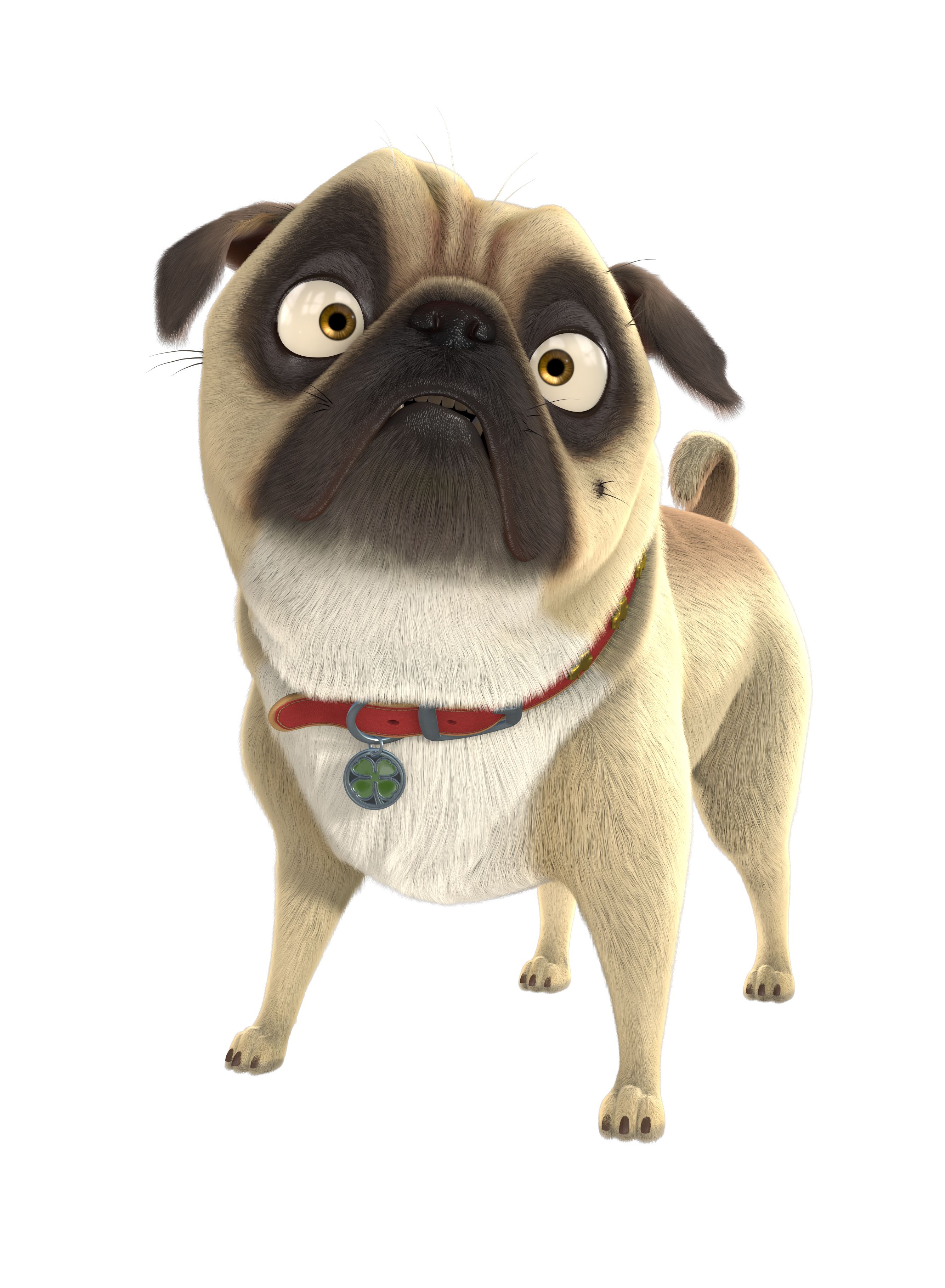 Precious The Pug The Nut Job Was Hilarious Only Because Of