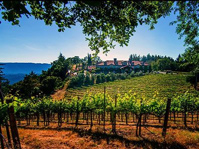 Byington Vineyard And Winery Los Gatos California Wedding Venues 1 Byington Vineyard And Winery Los Gatos California Wedding Venues 1