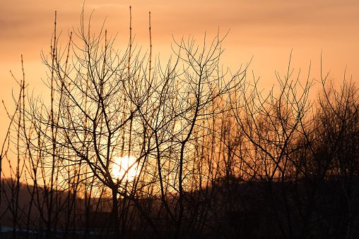 Zavodskoy, Primorskiy kray, Russia Sunset Colors, Sunrise Sunset, Dawn, Lamp Post, Russia, Celestial, Outdoor, Outdoors, Outdoor Games
