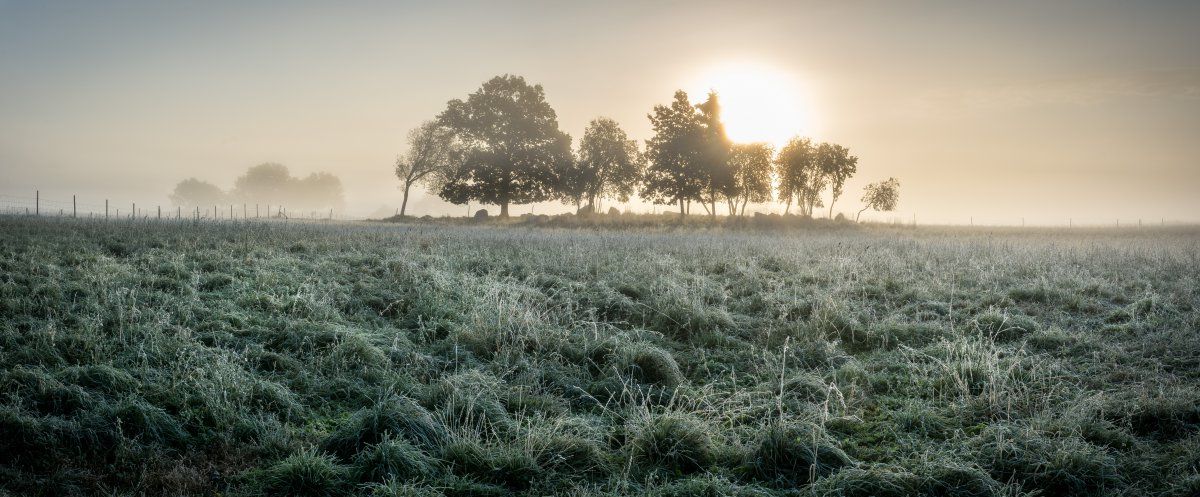 There is widespread community transmission globally. Some travel restrictions may still be in place within Sweden. For the latest travel status, please check the Stockholm Bromma Airport (BMA) to Mrby, Eker Municipality