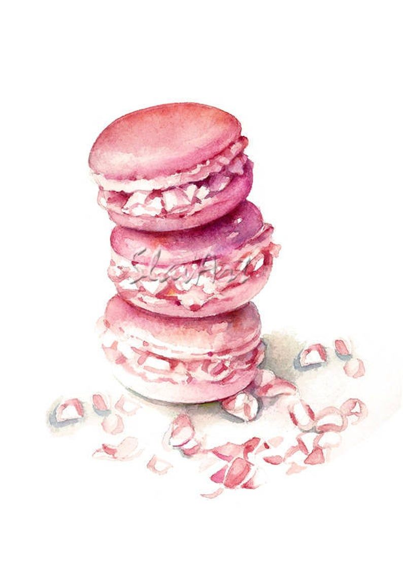 Pink Macarons French Dessert Food Illustration Original