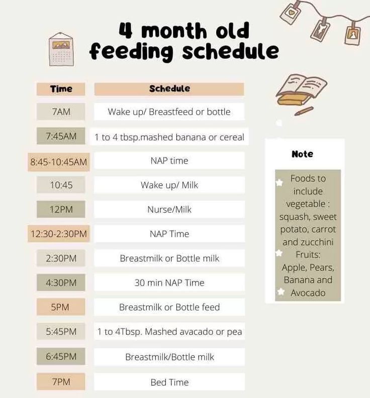 How and when to start baby on solids. Sample schedule to follow.