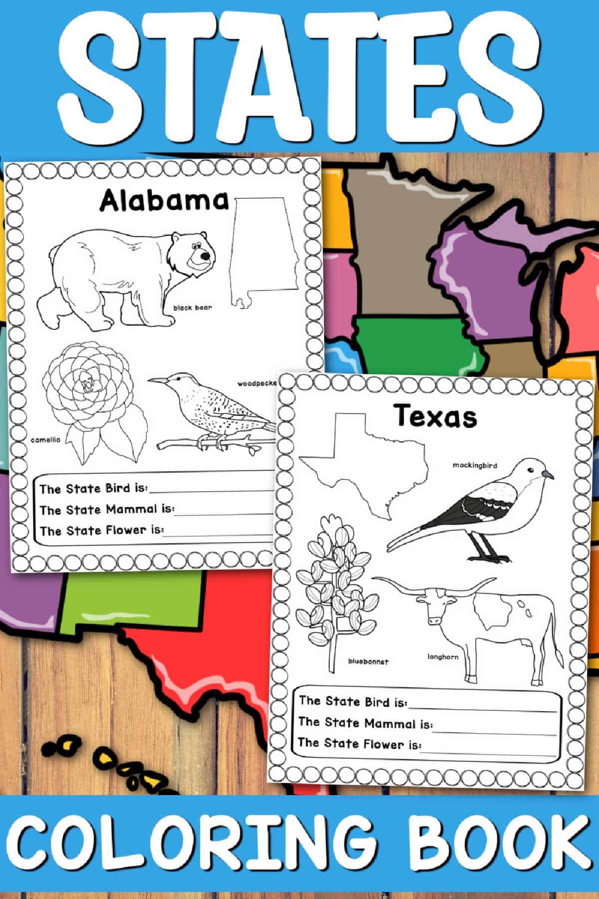 Free us states worksheets pdf - 00bc8e1d34870f74bd2bd6f9b896876e