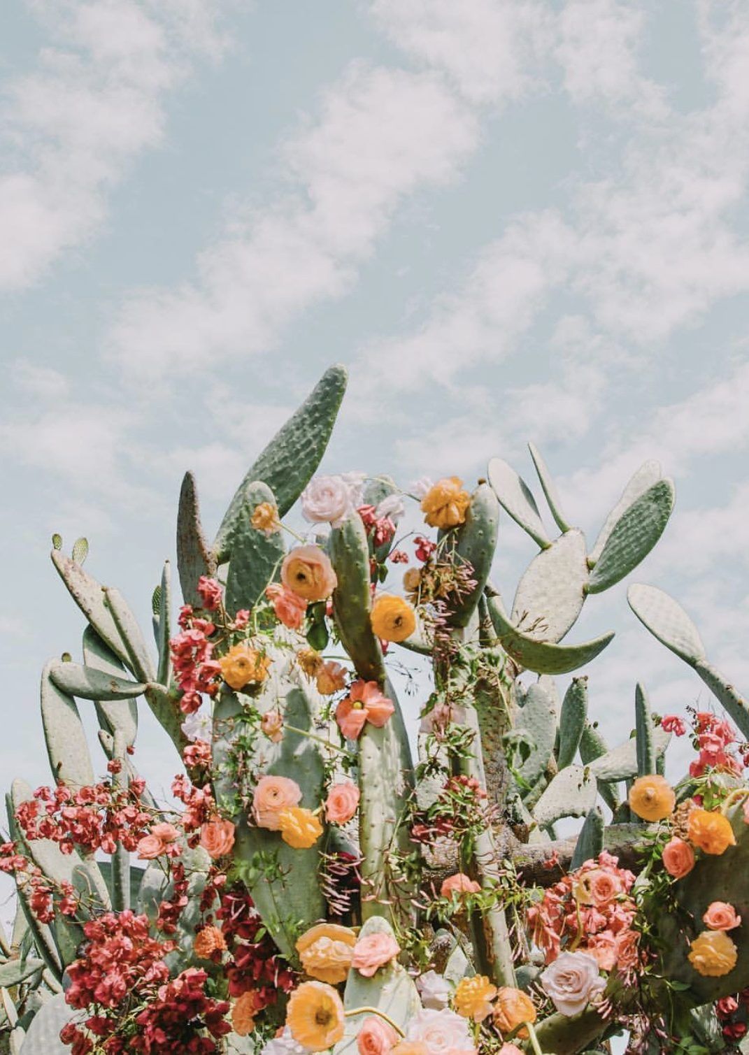 April Faves #cactuswithflowers