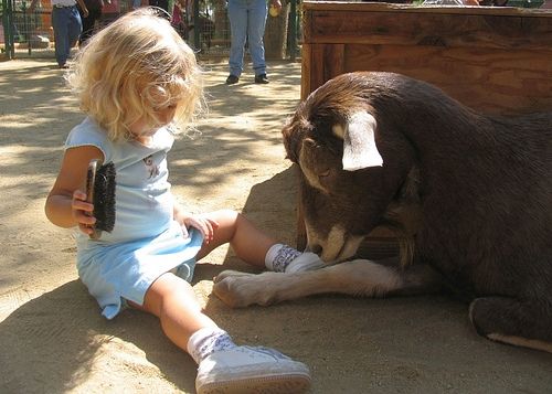 Los Angeles Zoo Los Angeles Ca Kid Friendly Activity Reviews Los Angeles Zoo Los Angeles With Kids California Kids