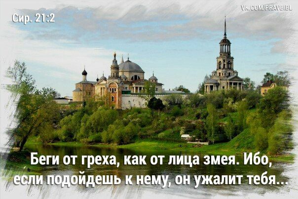 Ницца новости Ницца новости