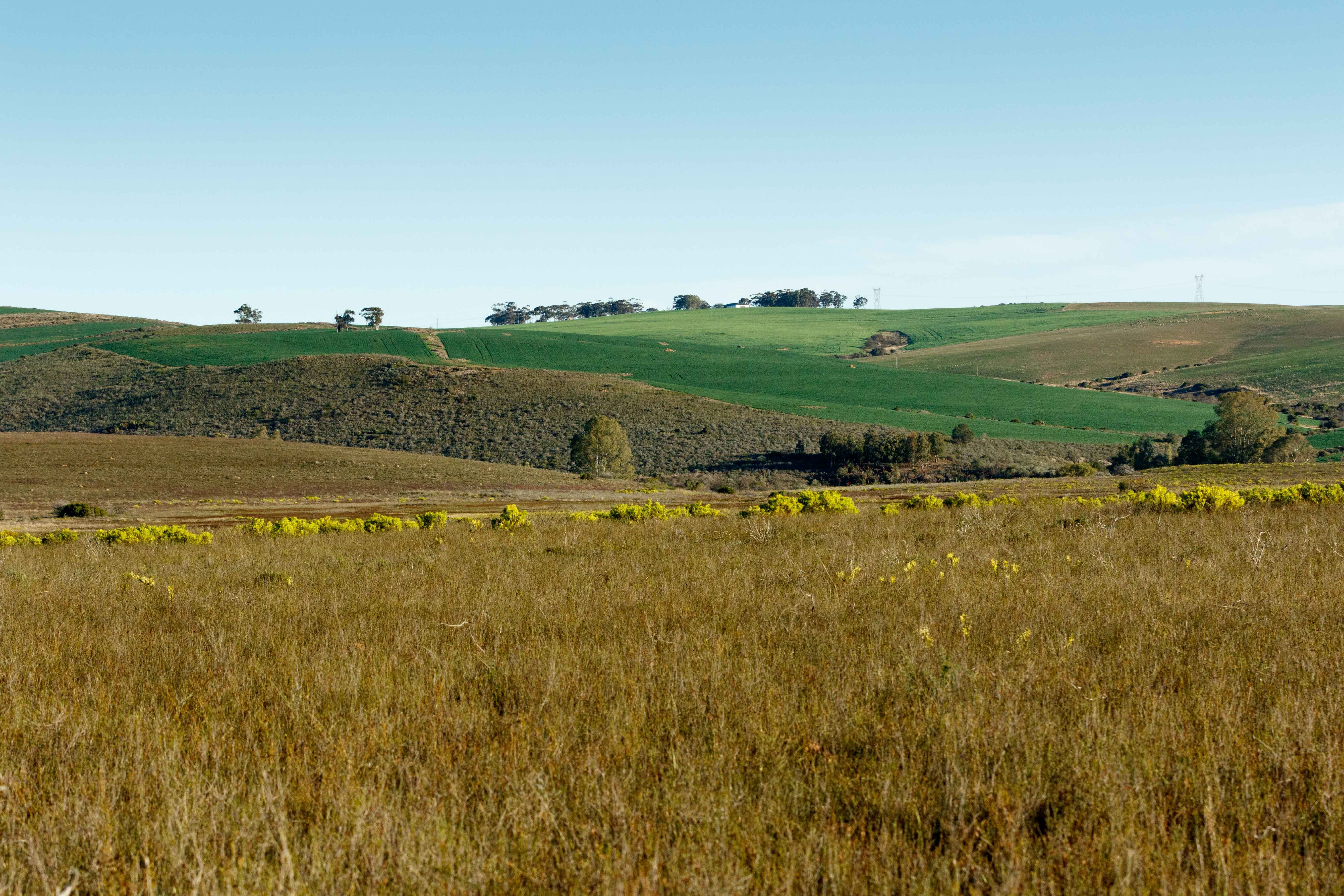 Green Grass Landscape Green Grass Landscape - South Africa's geography. South Africa occupies the southern tip of Africa, its long coastline stretching more than 2 500km from the desert border with Namibia on the Atlantic coast, southwards around the tip of Africa, then north to the border with subtropical Mozambique on the Indian Ocean. Mozambique, Namibia, Green Grass, Geography, South Africa, Farmland, Vineyard, Coastline, Border