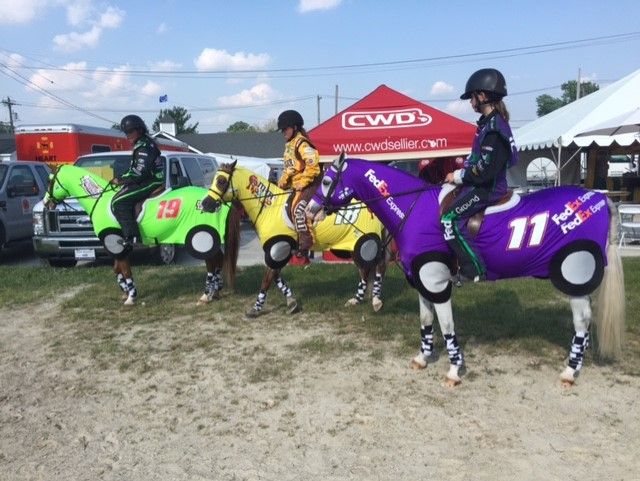 Horse Costumes For My Horse Costumes Race Car 2
