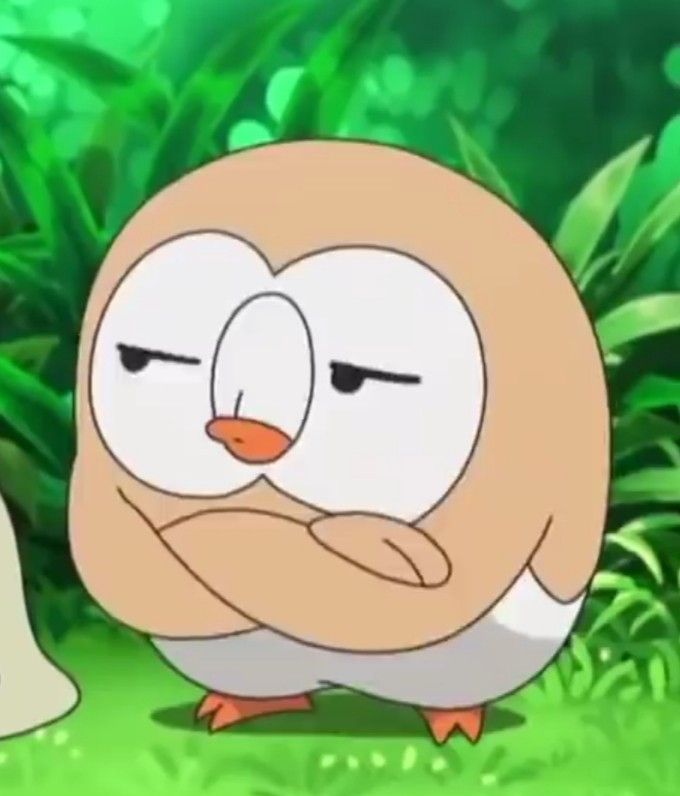 pokemon sleep icon pokemon sleep icon