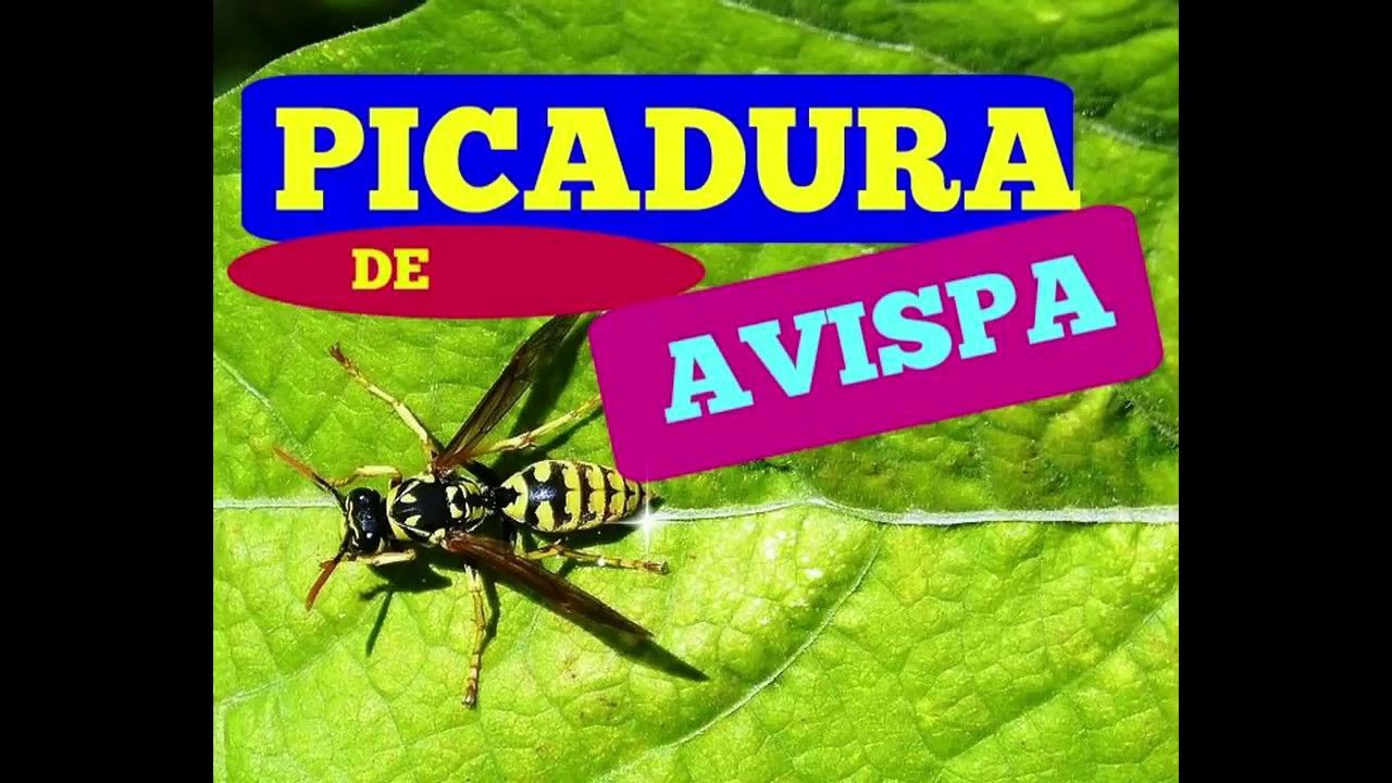 Pin En Remedios Naturales