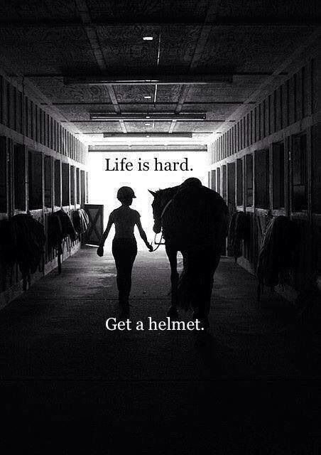 #horseriding #horserider #equine | Horse riding quotes, Horse quotes