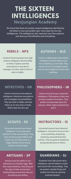 technology internet essay voting