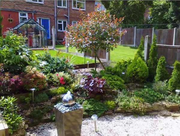 Ландшафтный дизайн — ДО и ПОСЛЕ Garden, Plants, Garten, Lawn And Garden, Gardens, Plant, Gardening, Outdoor, Yard