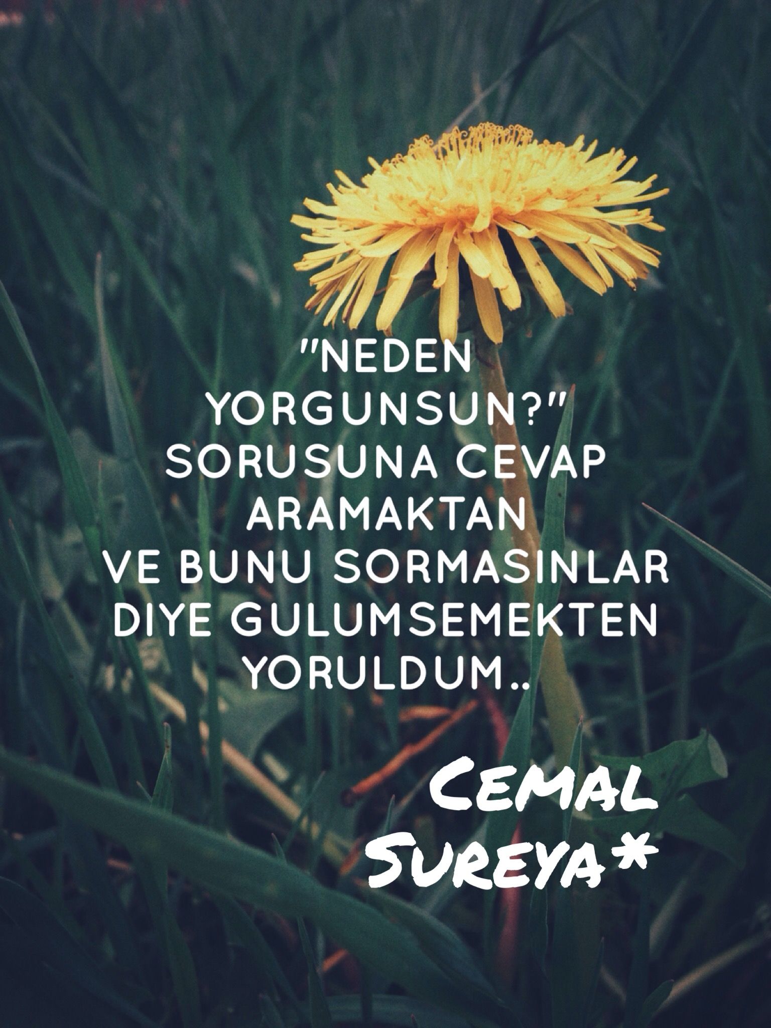 Neden hep uyumak istiyorsun Neden hep uyumak istiyorsun