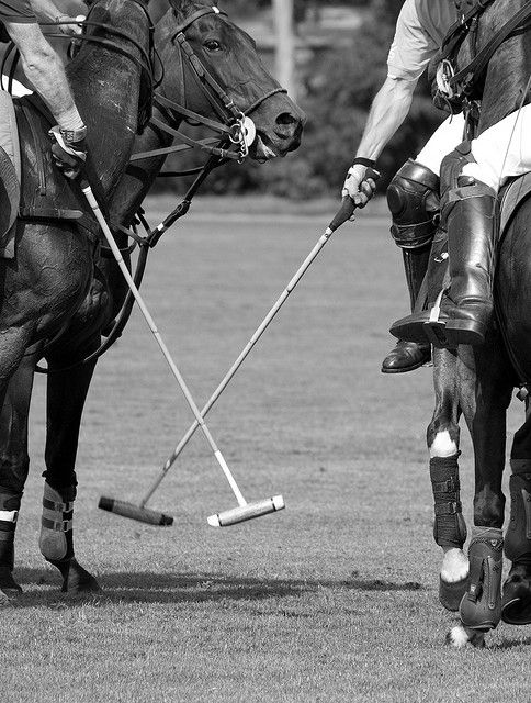 New rounds, new chances. Ham Polo Club