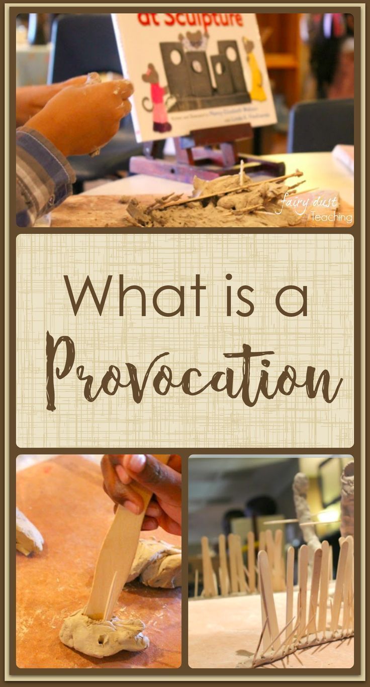 What is a provocation?