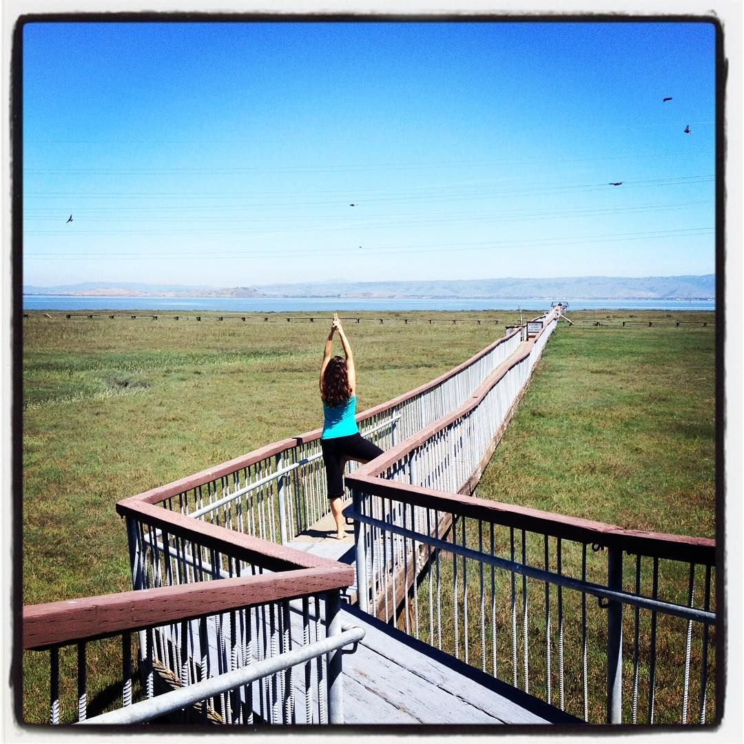 Morning yoga by Baylands #birdpreserve #bridgetoheaven. . . . . . #yoga #yogapose #fitness #meditati...