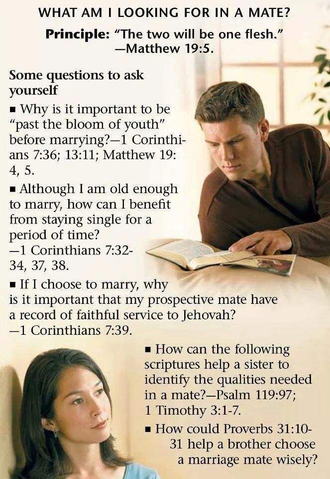 Bible In 90 Days Reading Schedule Cover To Cover Bible Reading Schedule Read Bible Bible Plan