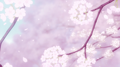 cherry blossom petals gif
