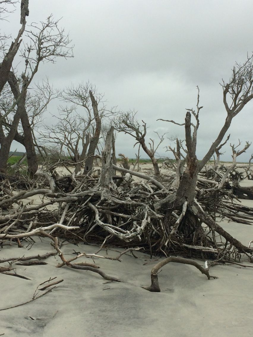Morris Island Lighthouse Beach Folly Sc Favorite Places Morris Island Lighthouse Beach Folly Sc
