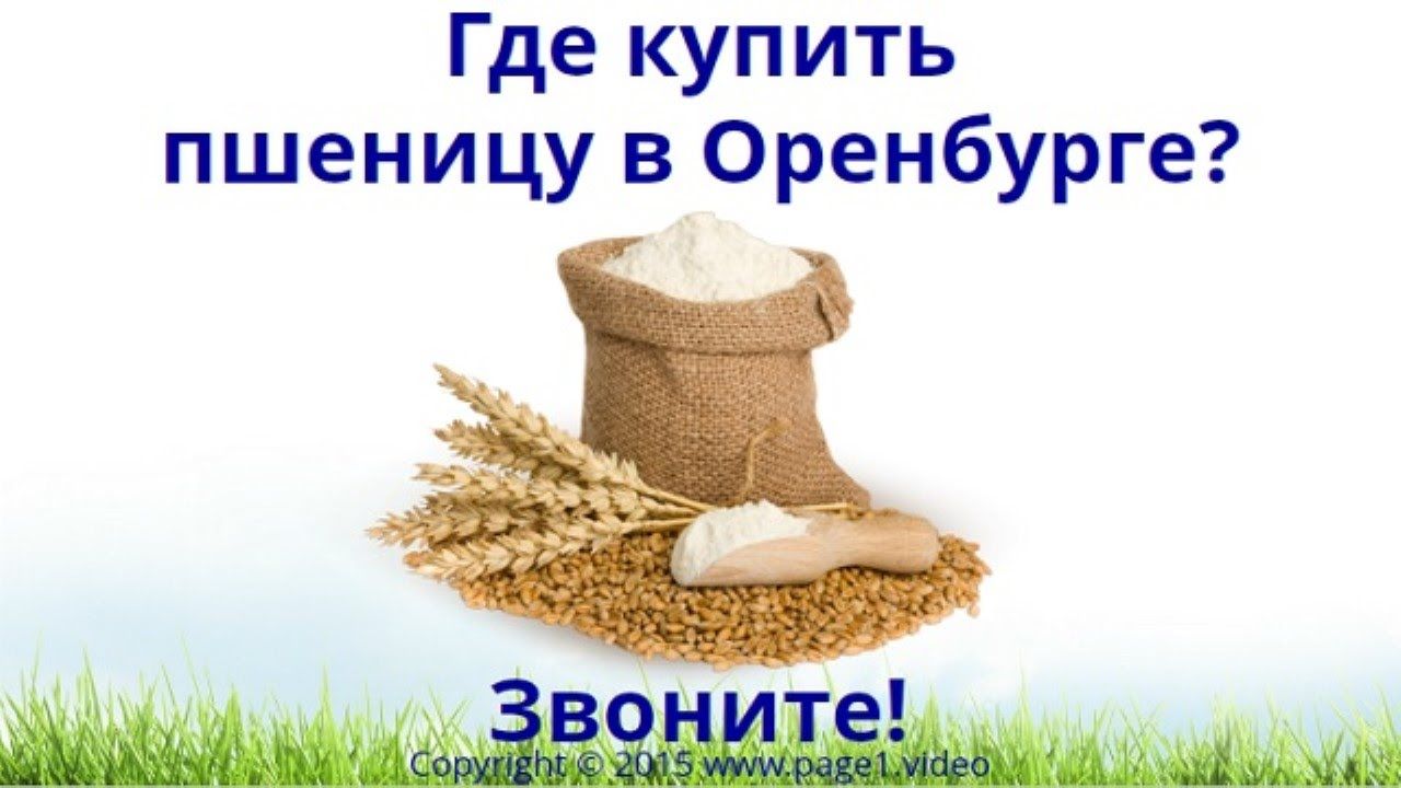 Купить Зерно В Омске Цена
