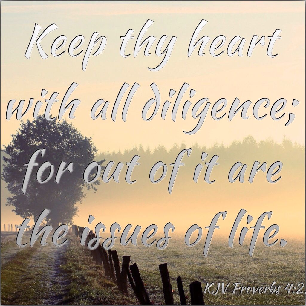 Kjv Verse Proverbs 4 2 Pinterest Kjv Verse Proverbs 4 2