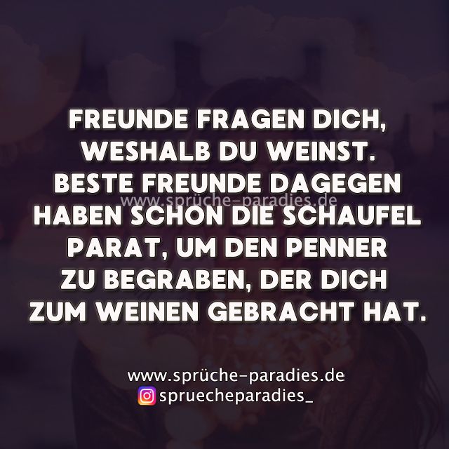 Freunde fragen dich | Sprüche paradies, Lustige sprüche, Fragen