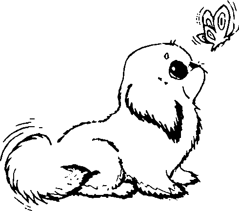 coloring sheets on down to below the puppy coloring pages for some coloring sheets of puppies