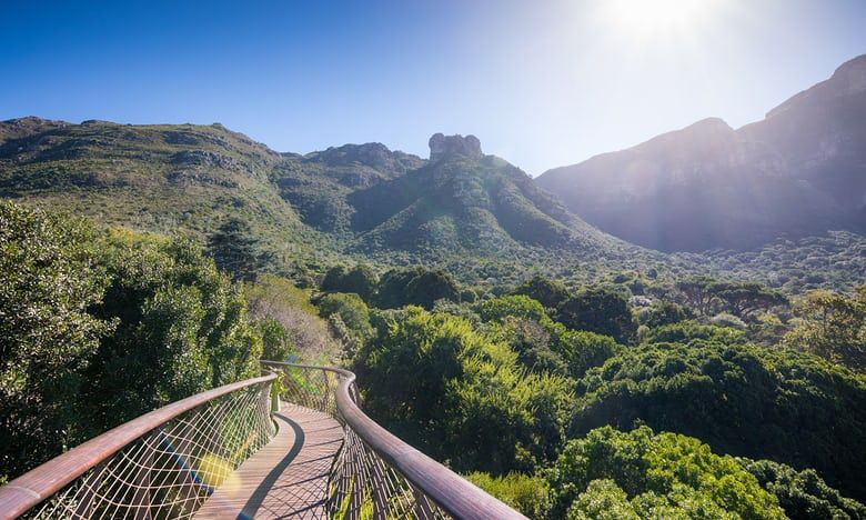 10 great botanical gardens around the world: readers’ tips | Canopy