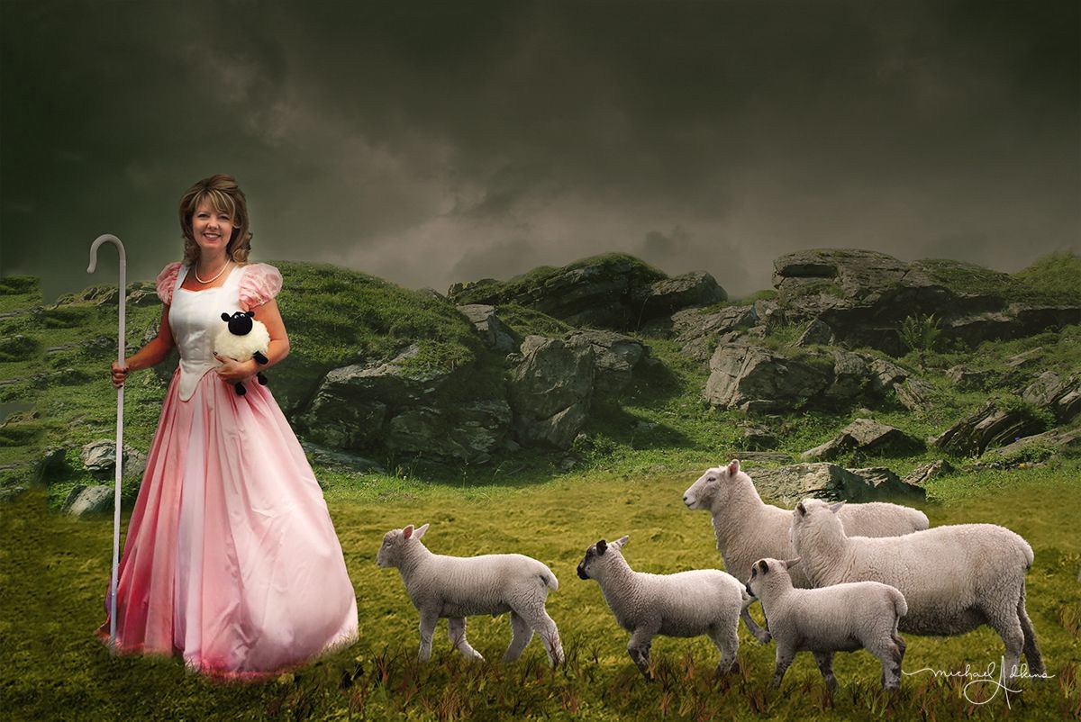 dark sheep herder art dark sheep herder art