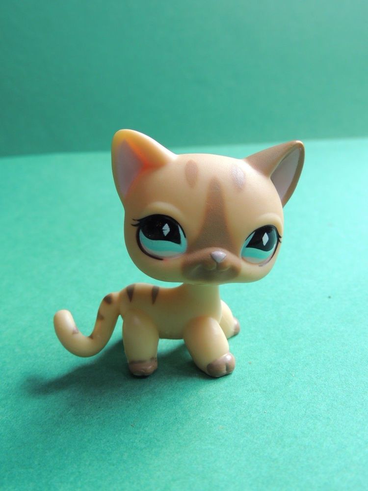 6 Chat Europeen Brown European Cat Lps Littlest Pet Shop Figure Figurine Lps Littlest Pet Shop Pet Shop Little Pet Shop 6 Chat Europeen Brown European Cat Lps Littlest Pet Shop Figure Figurine Lps Littlest Pet Shop Pet Shop Little Pet Shop