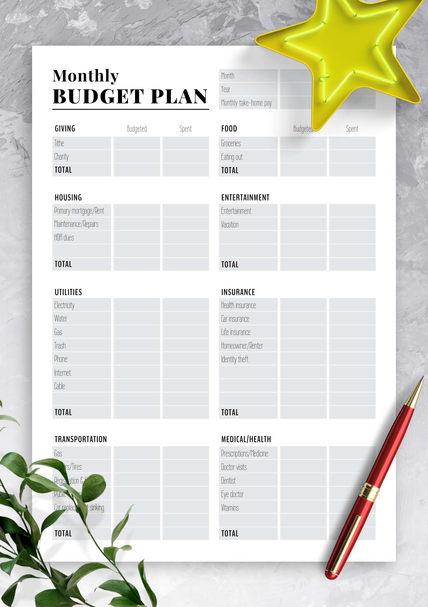 Two Pages Monthly Budget Planner Template With Classical Design And 