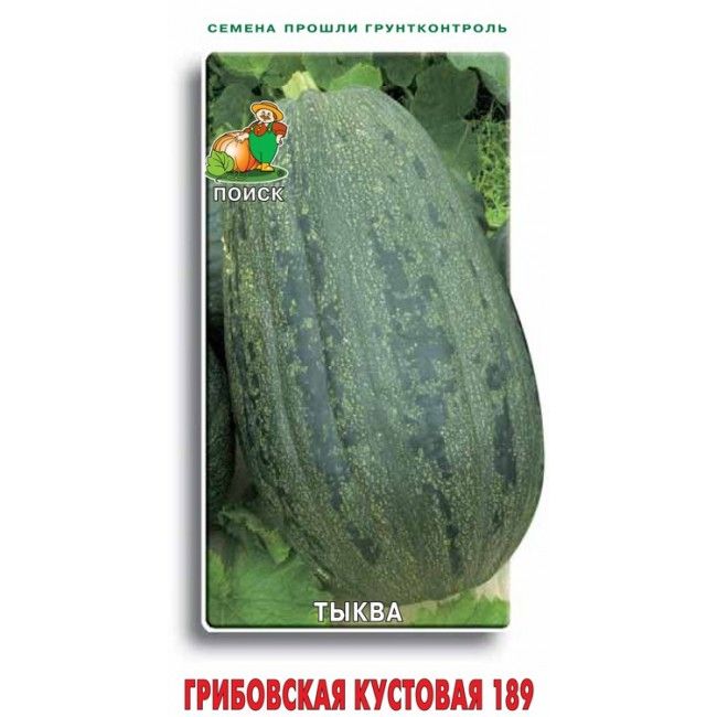 gribovskaya ustovaya 189 грибовская устовая 189 https://lafa.ru/plants/p/106493-tykva-tverdokoraya-gribovskaya-kustovaya-189/?utm_source=pinterest&utm_term=106493 Срок созревания: Ранне-спелый, Регион: Для Подмосковья, Месяц созревания: Июль, Место выращивания: Открытый грунт, Масса плода, гр: 6000, Форма плода: Цилиндрическая, Потребление: В свежем виде и на переработку, Мякоть: Плотная, Вкус: Сладкий Zucchini, Watermelon, Vegetables, Fruit, Plants, Vegetable Recipes, Plant, Veggies, Planets